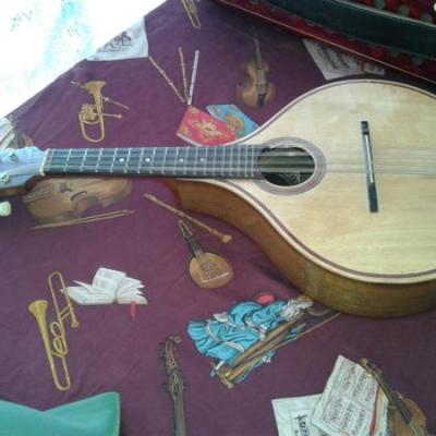 Bandolin